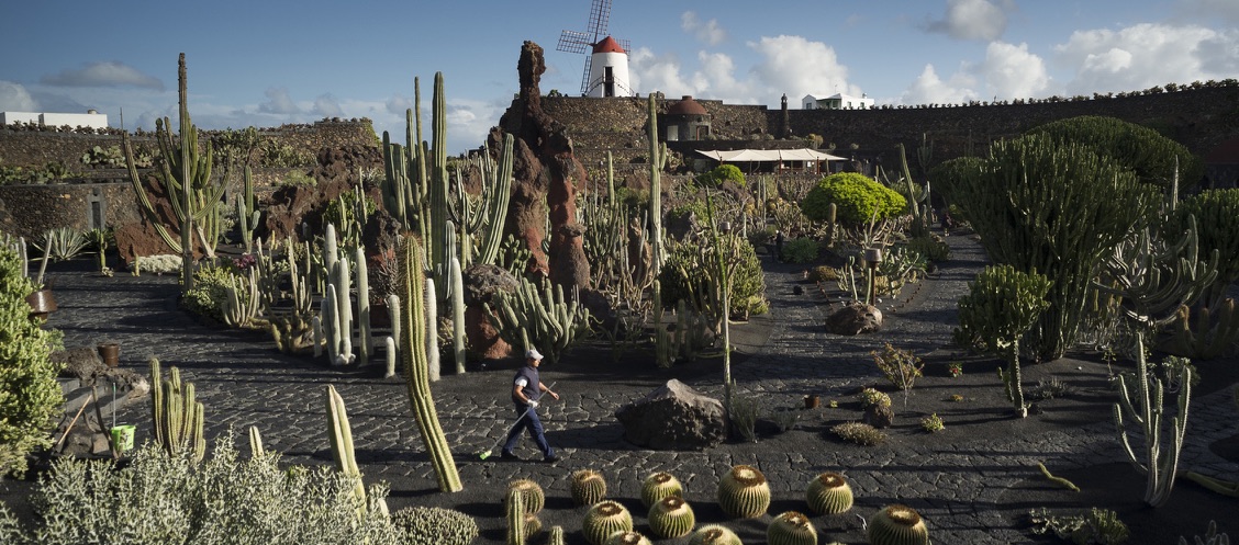 The International Carlo Scarpa Prize for Gardens