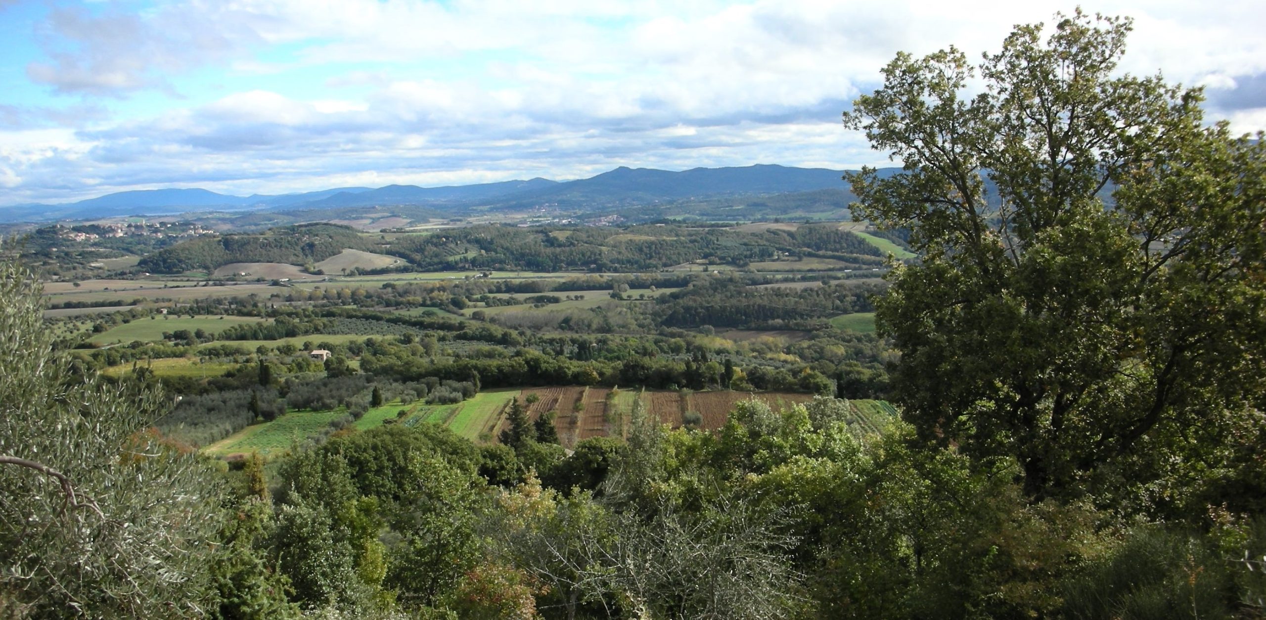 Special Sessions on Agriculture and Forest Heritage